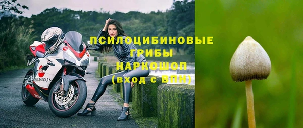 спиды Осташков